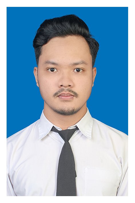IBNU SINA FAUZI