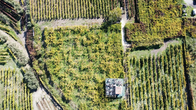 dji_132552