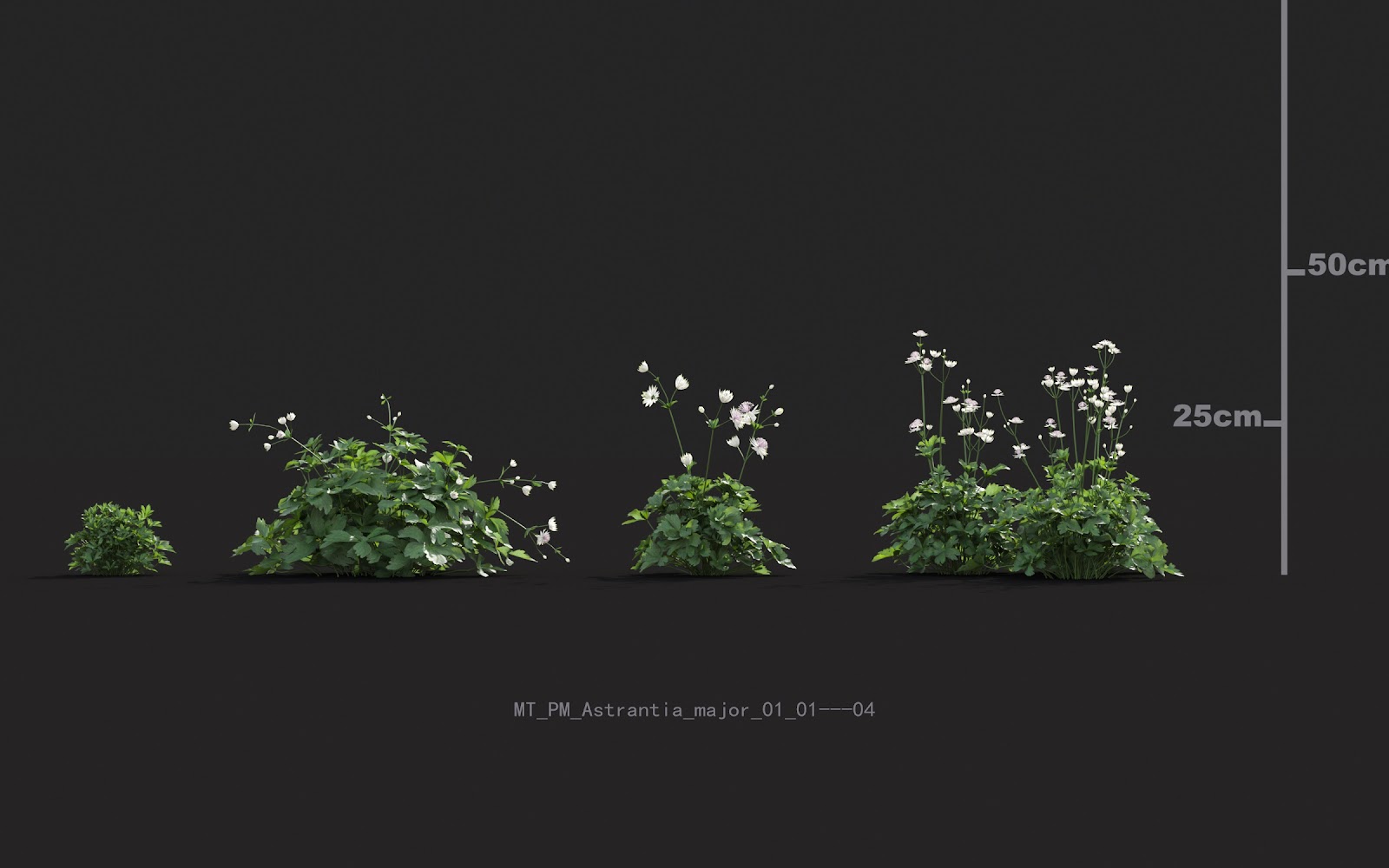 Maxtree - Plant Models Vol.20