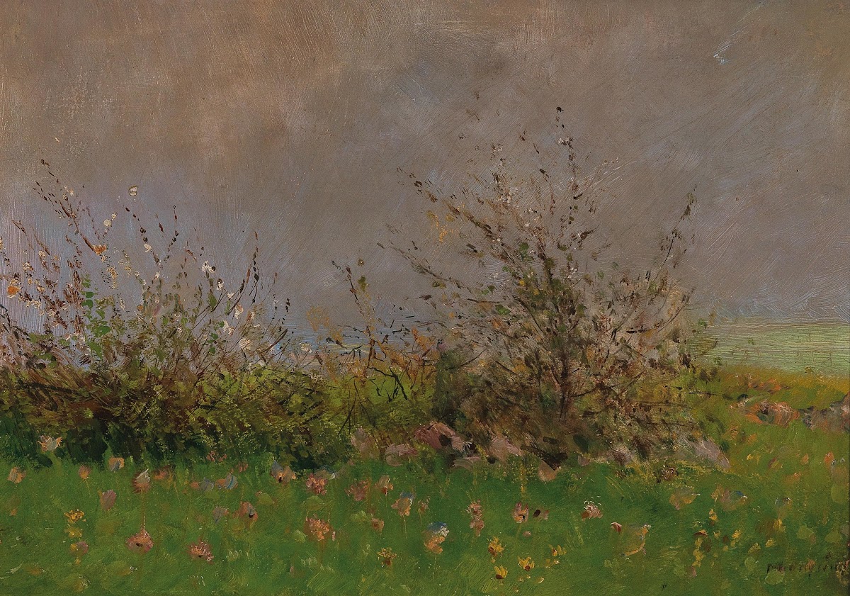 A Flower Meadow