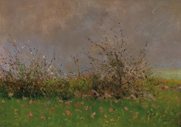 A Flower Meadow