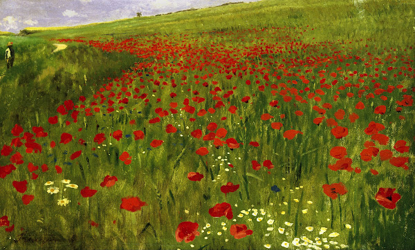 Meadow with Poppies 1896
