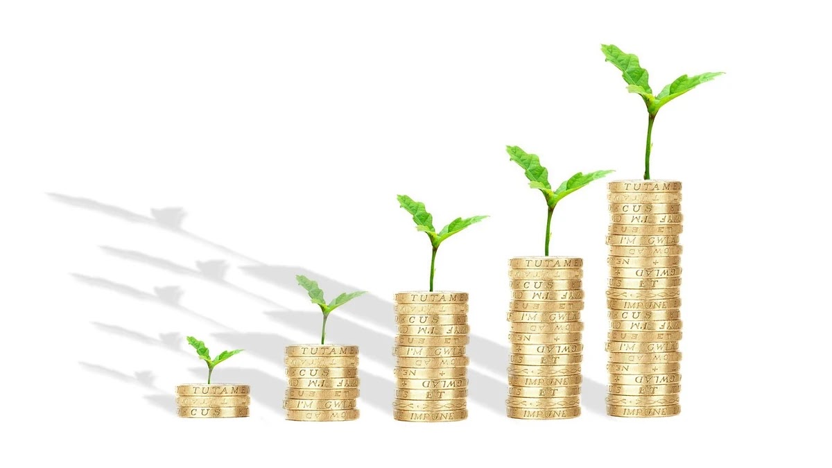 자동차 대출과 신용대출 금리 및 상환 조건 비교