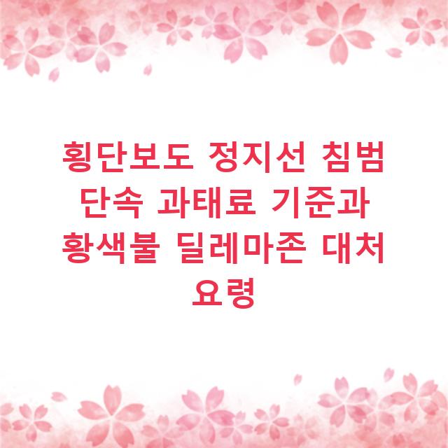 횡단보도 정지선 침범 단속 과태료 기준과 황색불 딜레마존 대처 요령