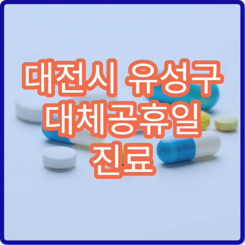 대전시 유성구 대체공휴일 진료 병원 어디서 찾을까? 공휴일 진료과목 확인