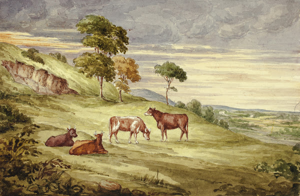 Deer Park possibly Kilkenny 1843
