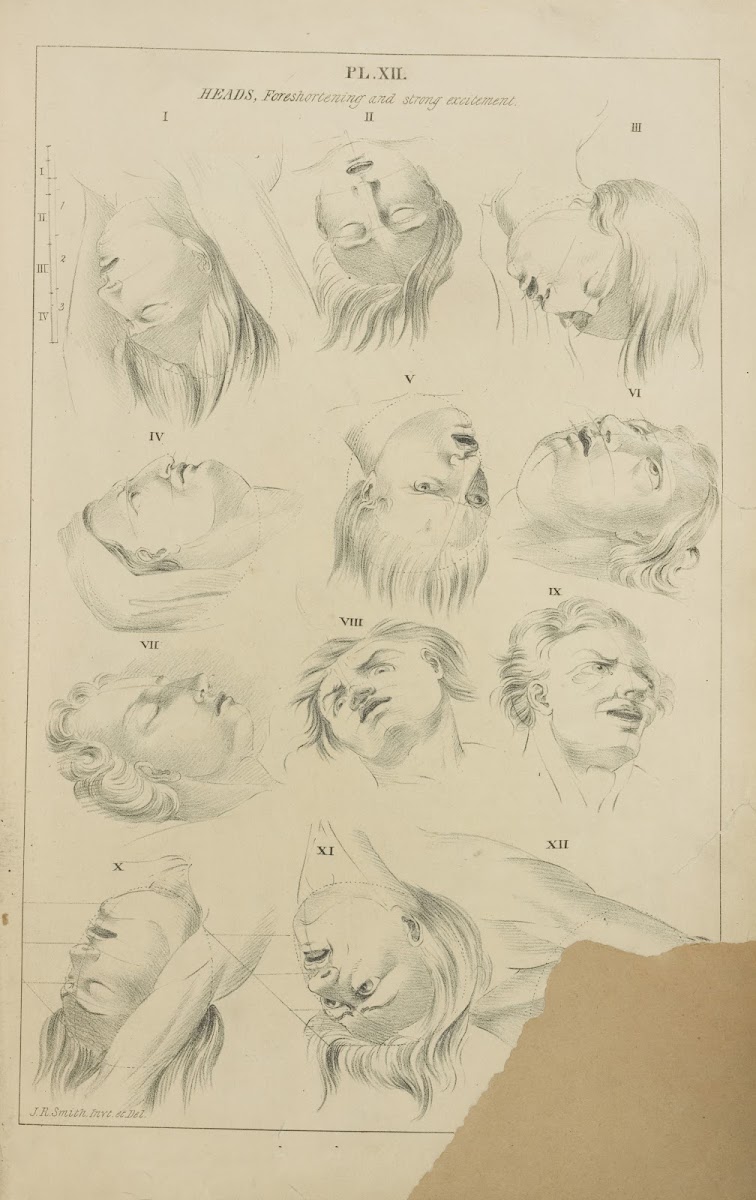 Heads  foreshortening and strong excitements 1831