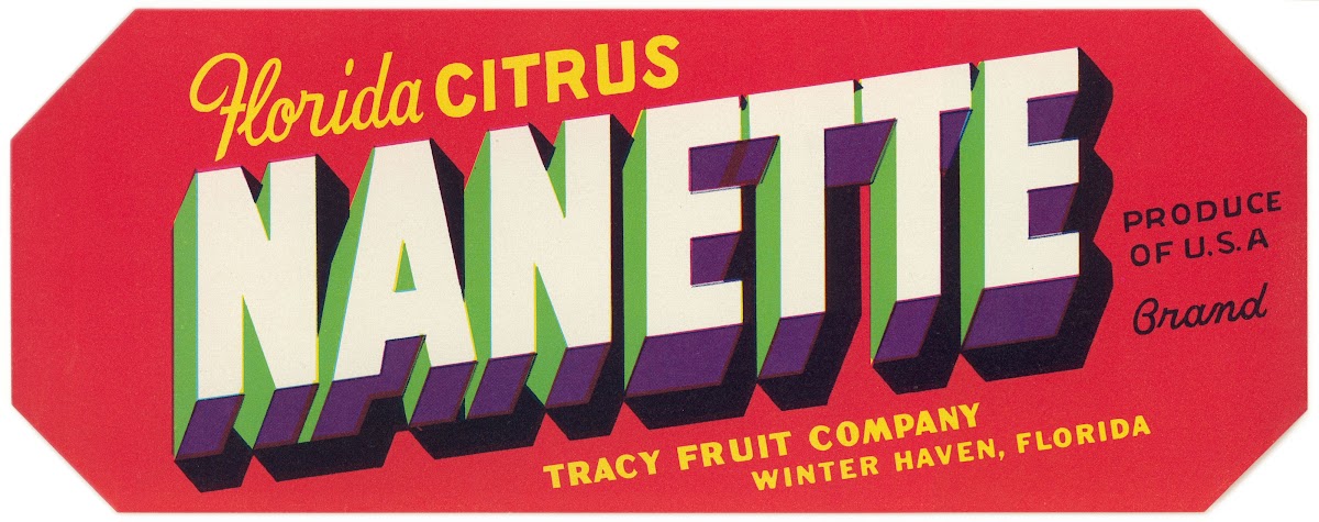 Nanette Brand Florida Citrus Label 1930 1950