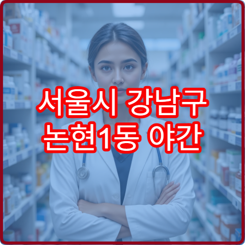 서울시 강남구 논현1동 야간 약국 밤에 문 여는 약국 위치