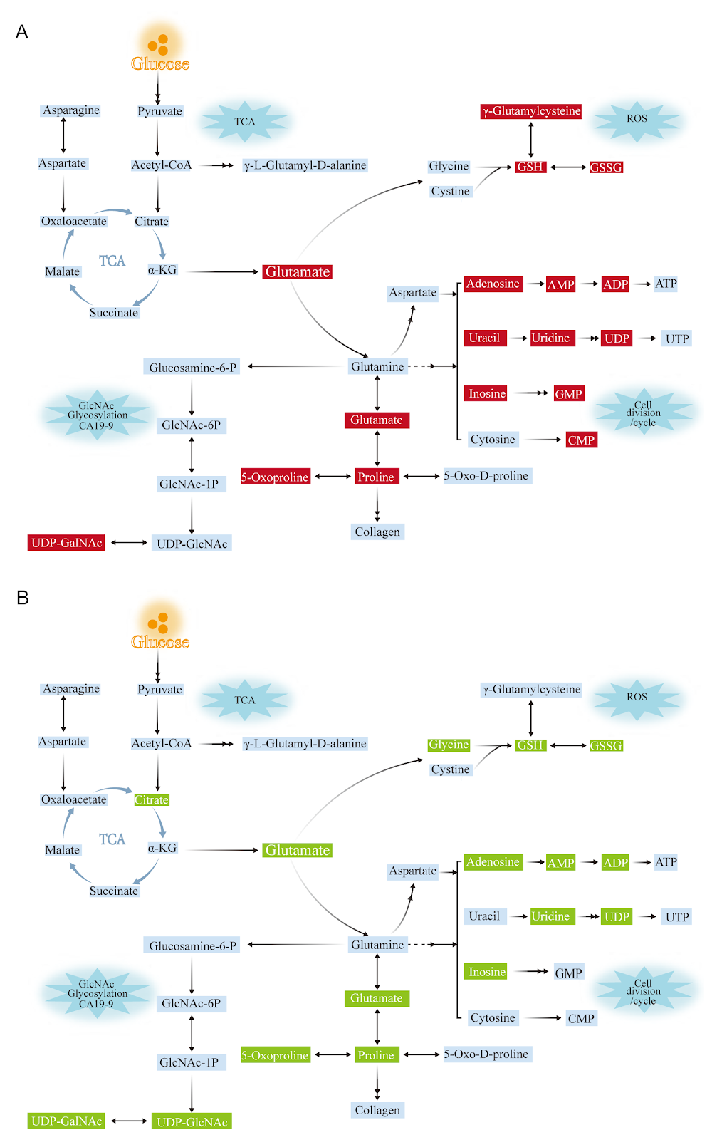 Glucose is a potential source of glutamate for glutamine-deprived pancreatic cancer cells with KRAS mutation