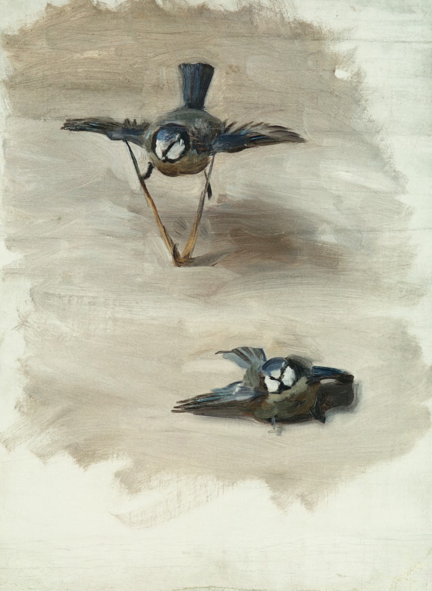 Studies of a Dead Bird 1878