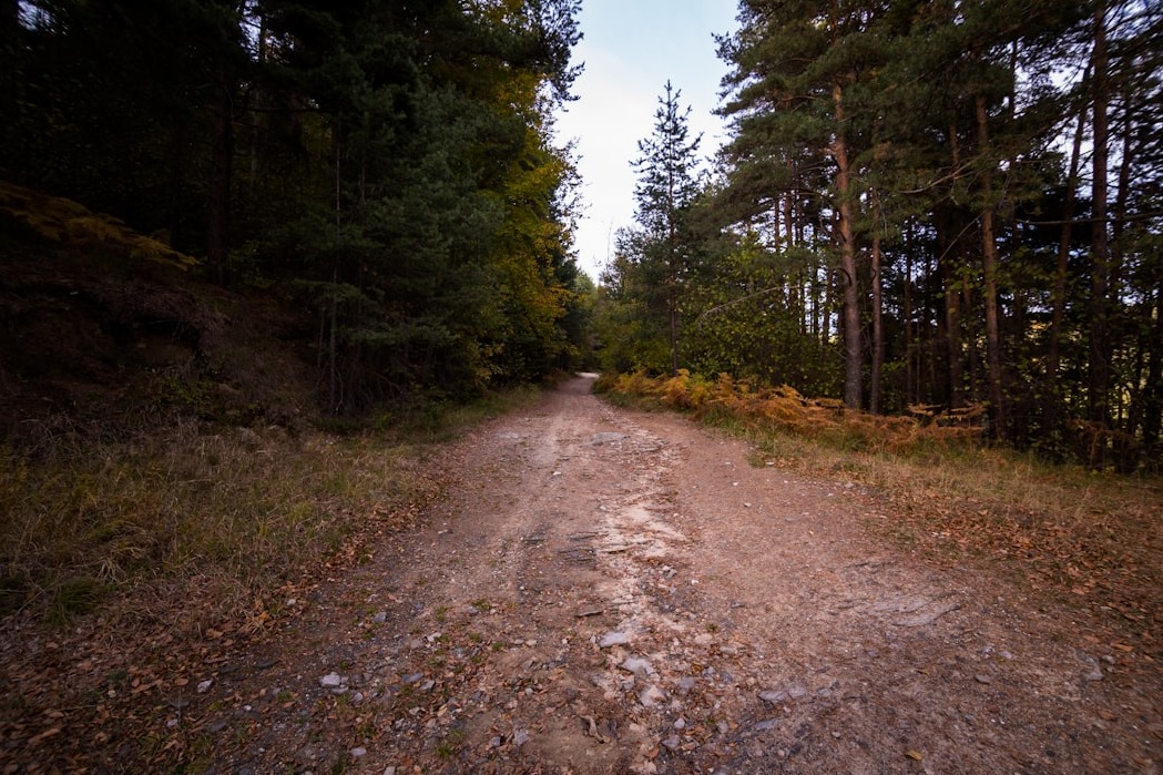 서울 근교 사찰여행: 천년고찰에서 찾는 인생샷 명소