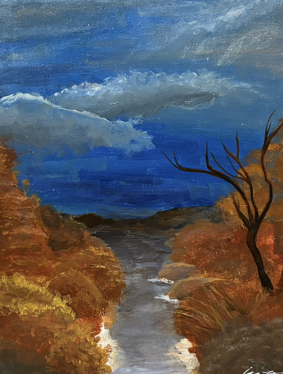 Acrylic on Canvas Panel