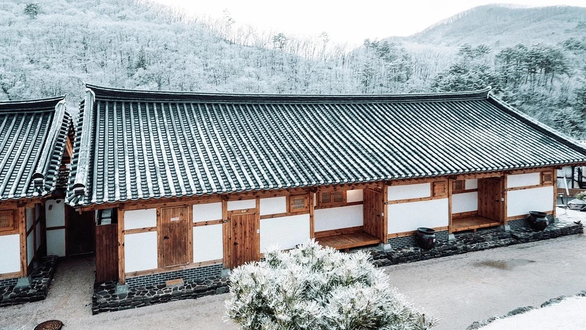 눈 감고 아웅 관용구의 어원과 현대적 의미 변화