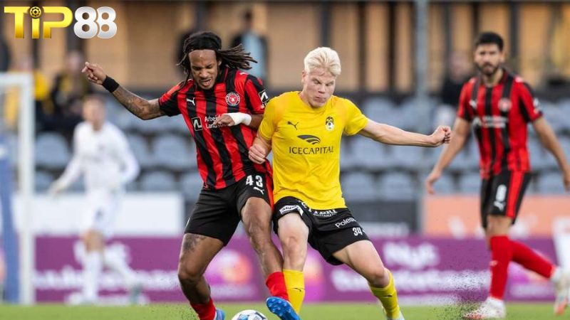 Lịch sử đối đầu Crystal Palace vs KuPS