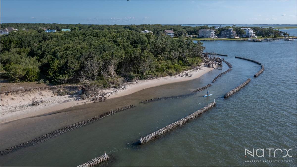 my pro photographer-7.jpg