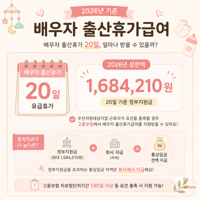 섹션 5 이미지