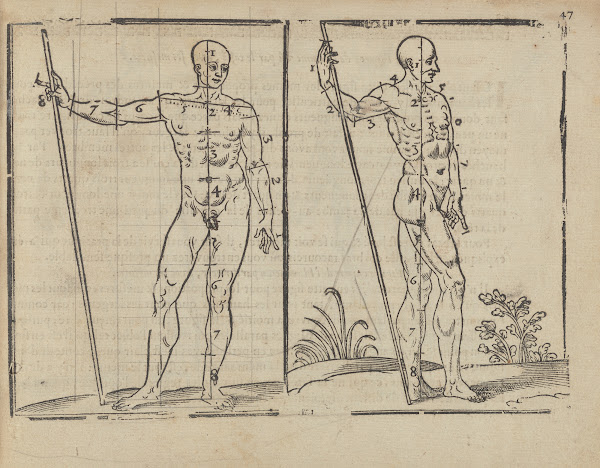 Lart de dessiner de Maistre Jean Cousin Pl21 1685