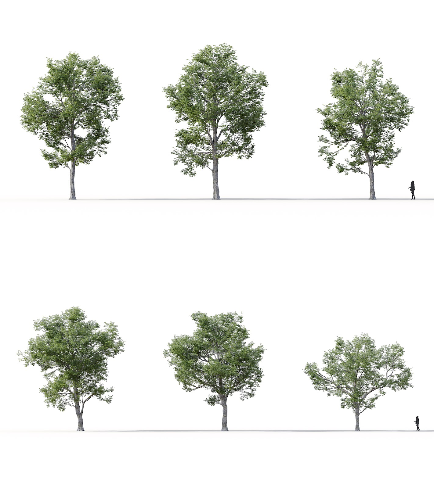Maxtree - Plant Models Vol.16
