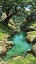 Bitluxy