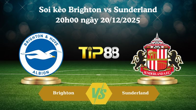 soi kèo Brighton vs Sunderland 20h00 ngày 20/12/2025
