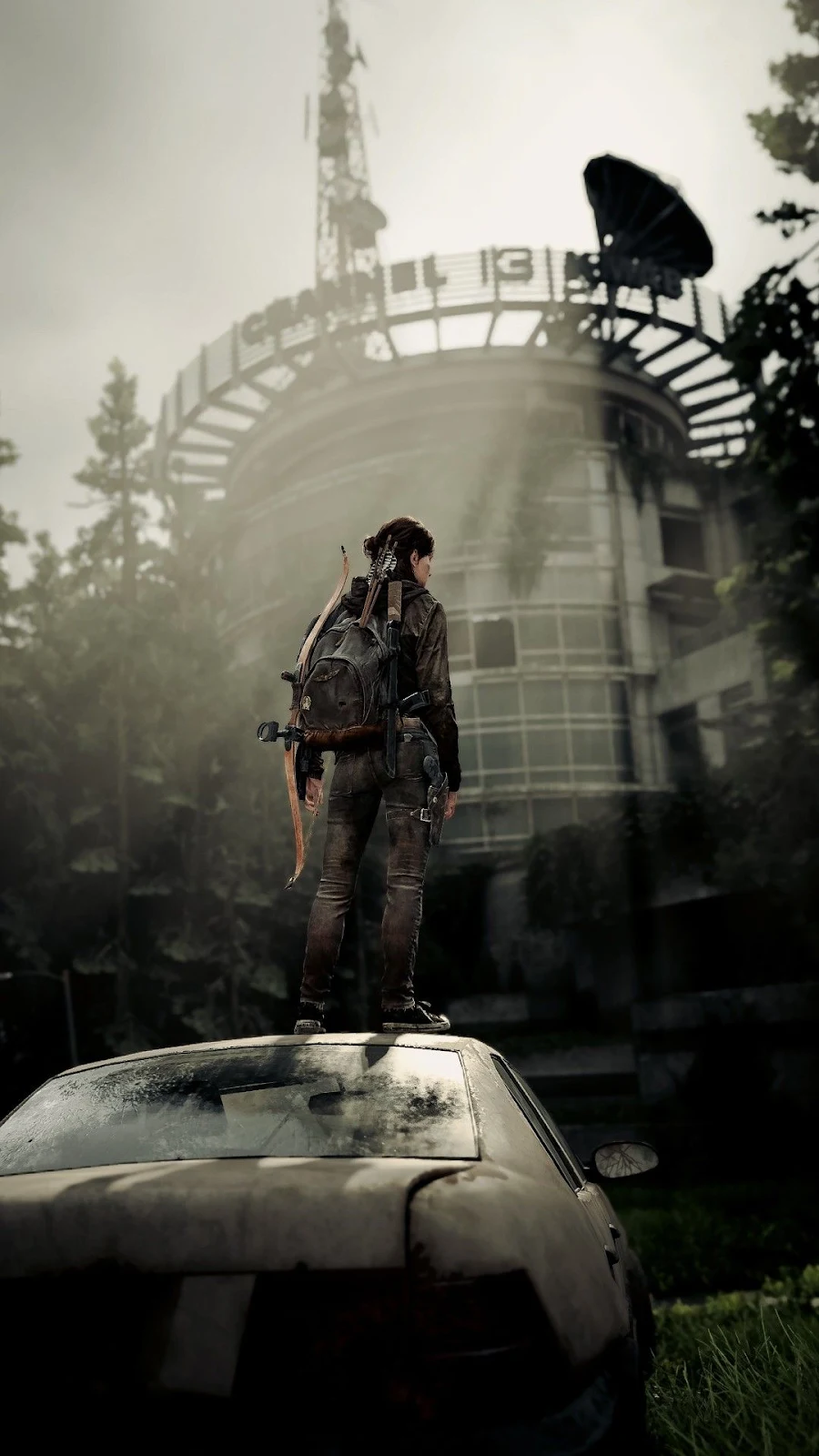 The Last of Us iPhone (1080x1920) HD Wallpaper Background
