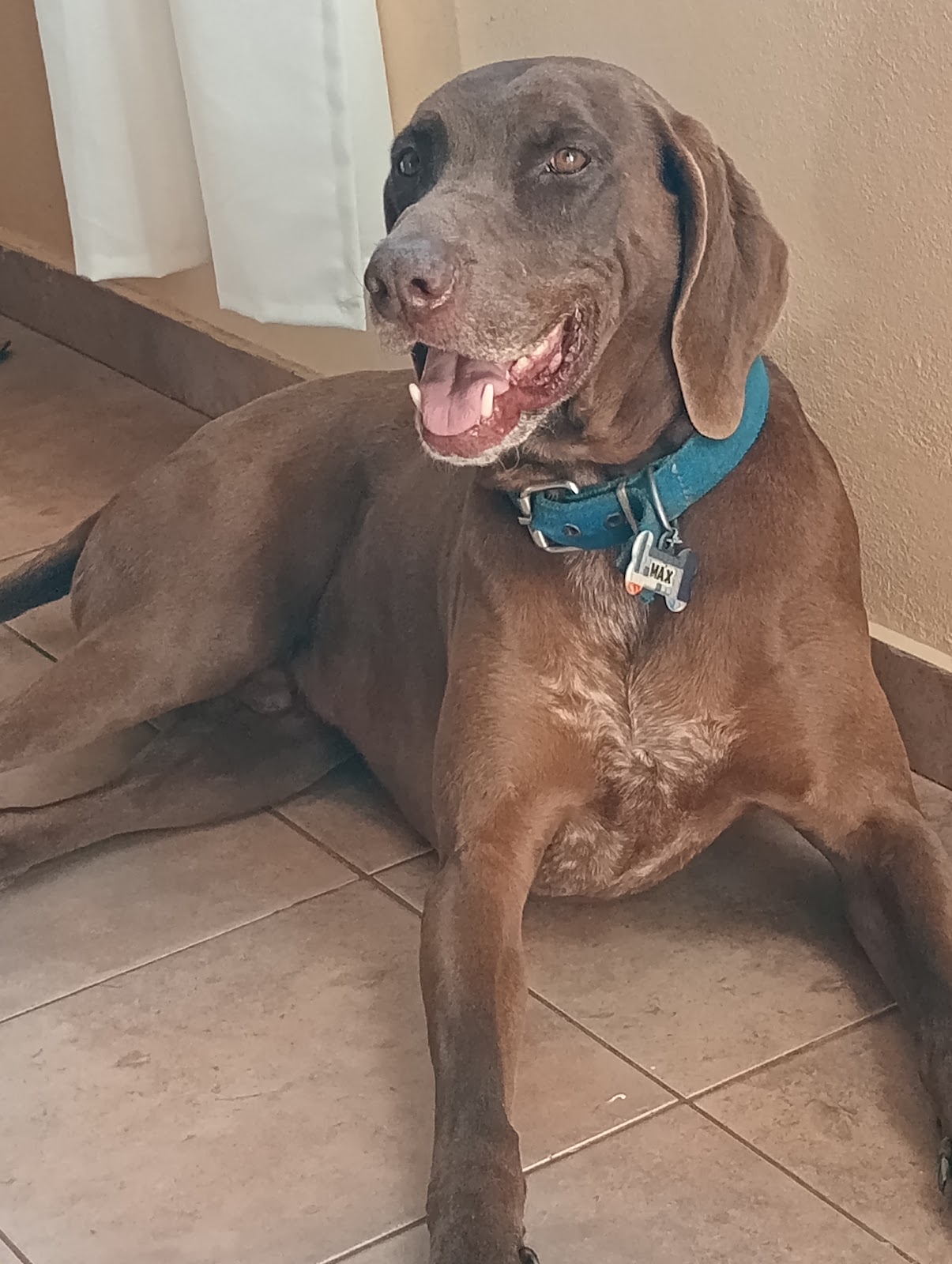 Max