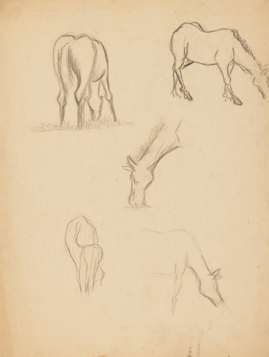 Études danimaux de paysages et de modèles