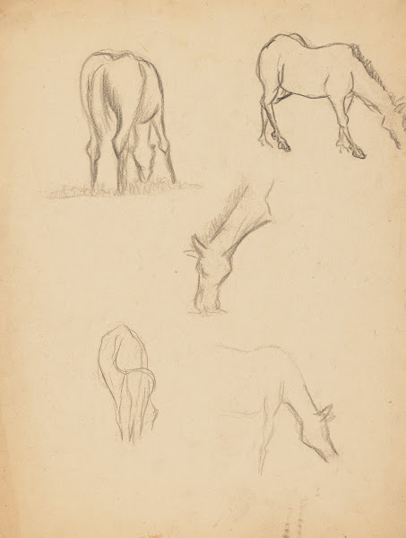 Études danimaux de paysages et de modèles