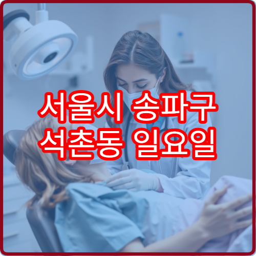 서울시 송파구 석촌동 일요일 내과 진료 병원 휴일 진료