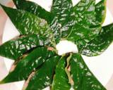 Ảnh Bước 2