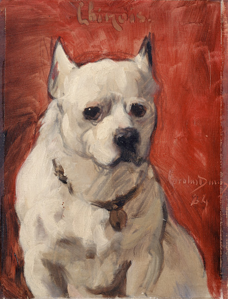 Le chien chinois 1884