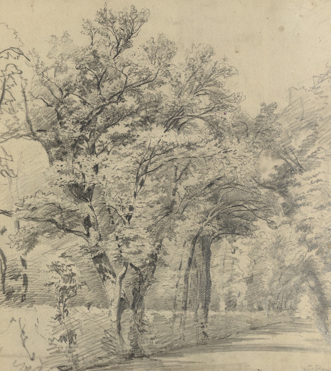 Prater 1880