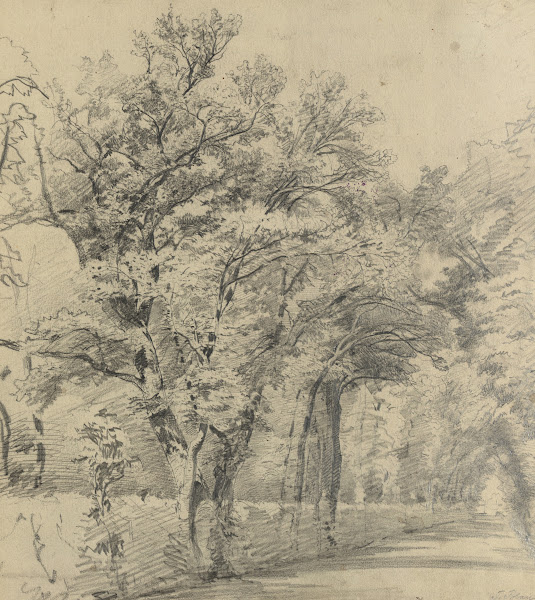 Prater 1880