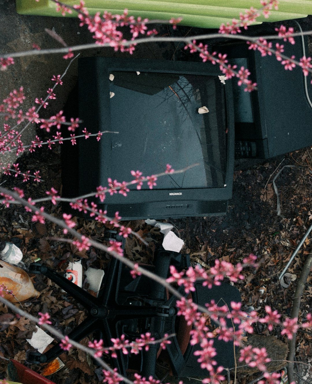 벚꽃만 보고 갈 순 없지! 진해 군항제 로컬 맛집 & 숨은 명소