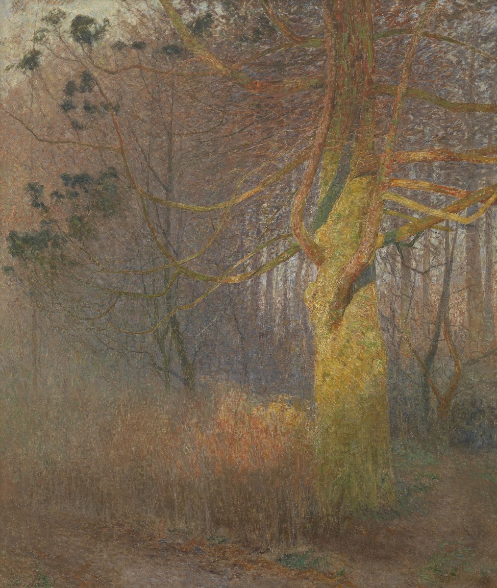 Tree in the sun 1900