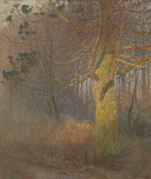 Tree in the sun 1900