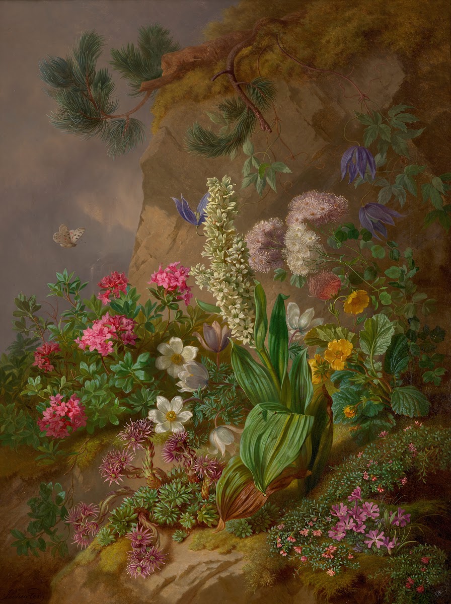 Alpenblumen 1876