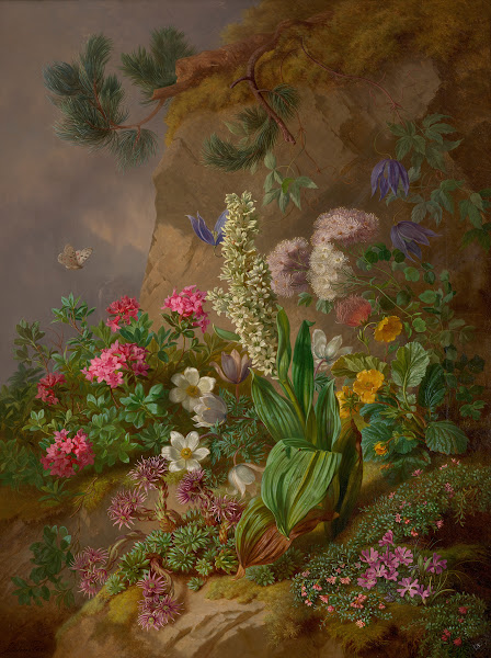 Alpenblumen 1876
