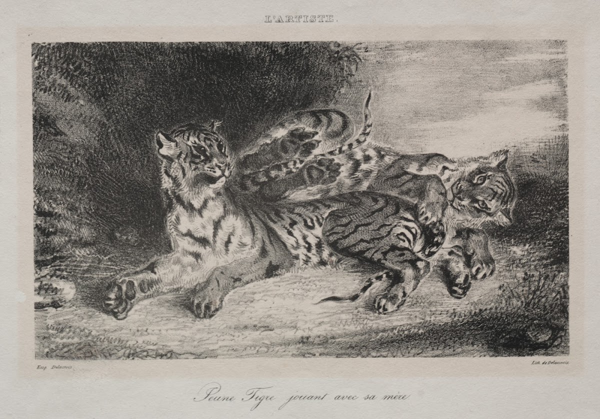 Young Tiger Playing with its Mother 1831