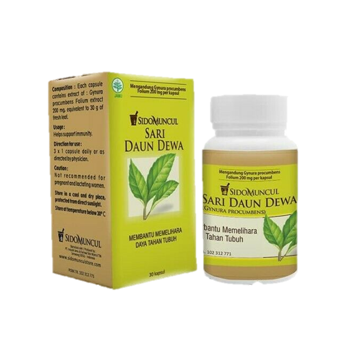 Alternative view of SIDOMUNCUL Daun Dewa Gynura Procumbens Extract For Immune System Support 30 Caps