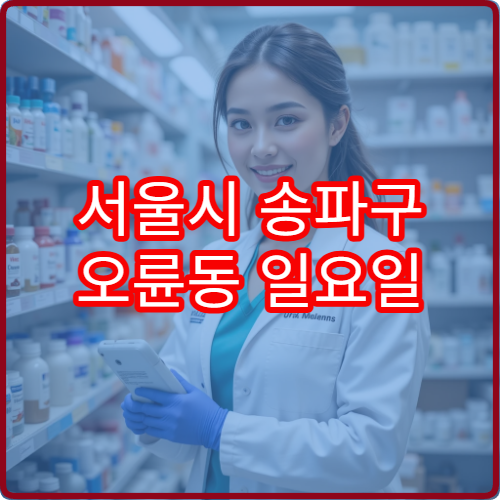 서울시 송파구 오륜동 일요일 당직약국 주거지역 중심 약국 운영 정보