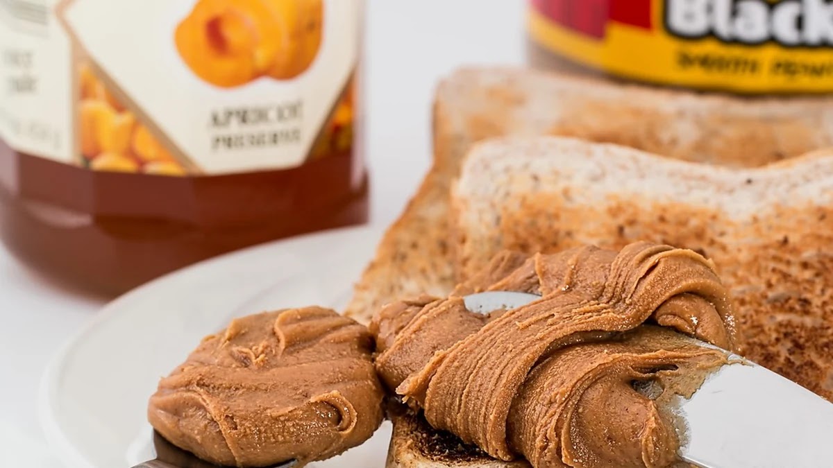 금융 용어 복합어 해설: 금리 스프레드와 신용 스프레드 이해하기