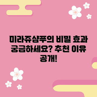 미라쥬샴푸 추천, 미라쥬샴푸 효과, 미라쥬샴푸 왜 좋나요, 미라쥬샴푸 사용법, 미라쥬샴푸 궁금한 점