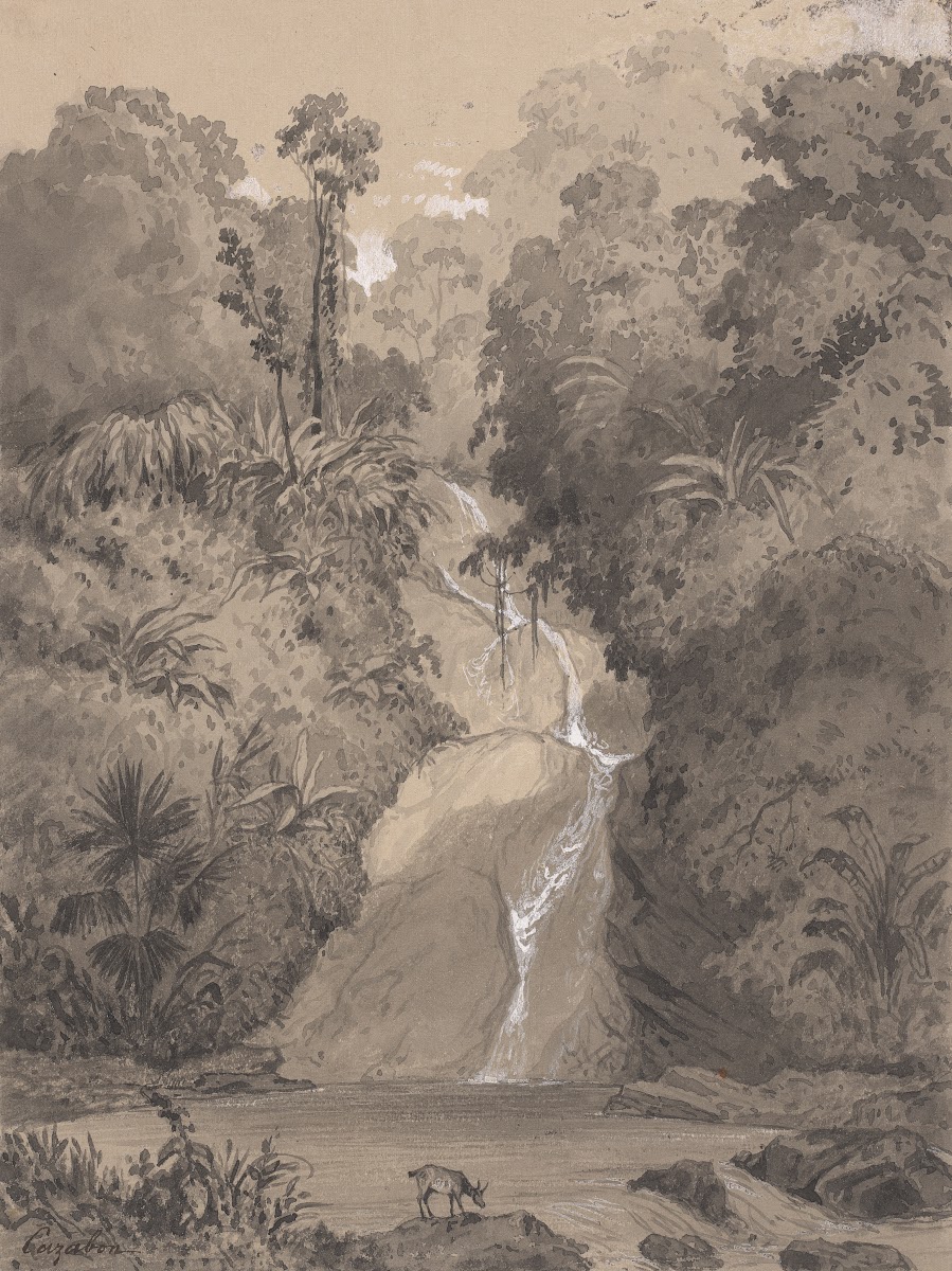 St Anns Waterfall