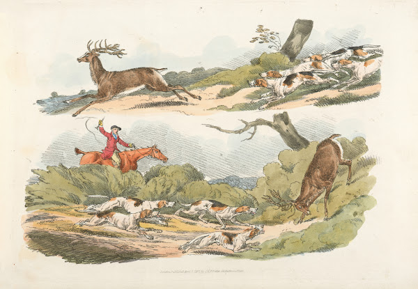 A hunter with dogs chasing a stag 1817 1818
