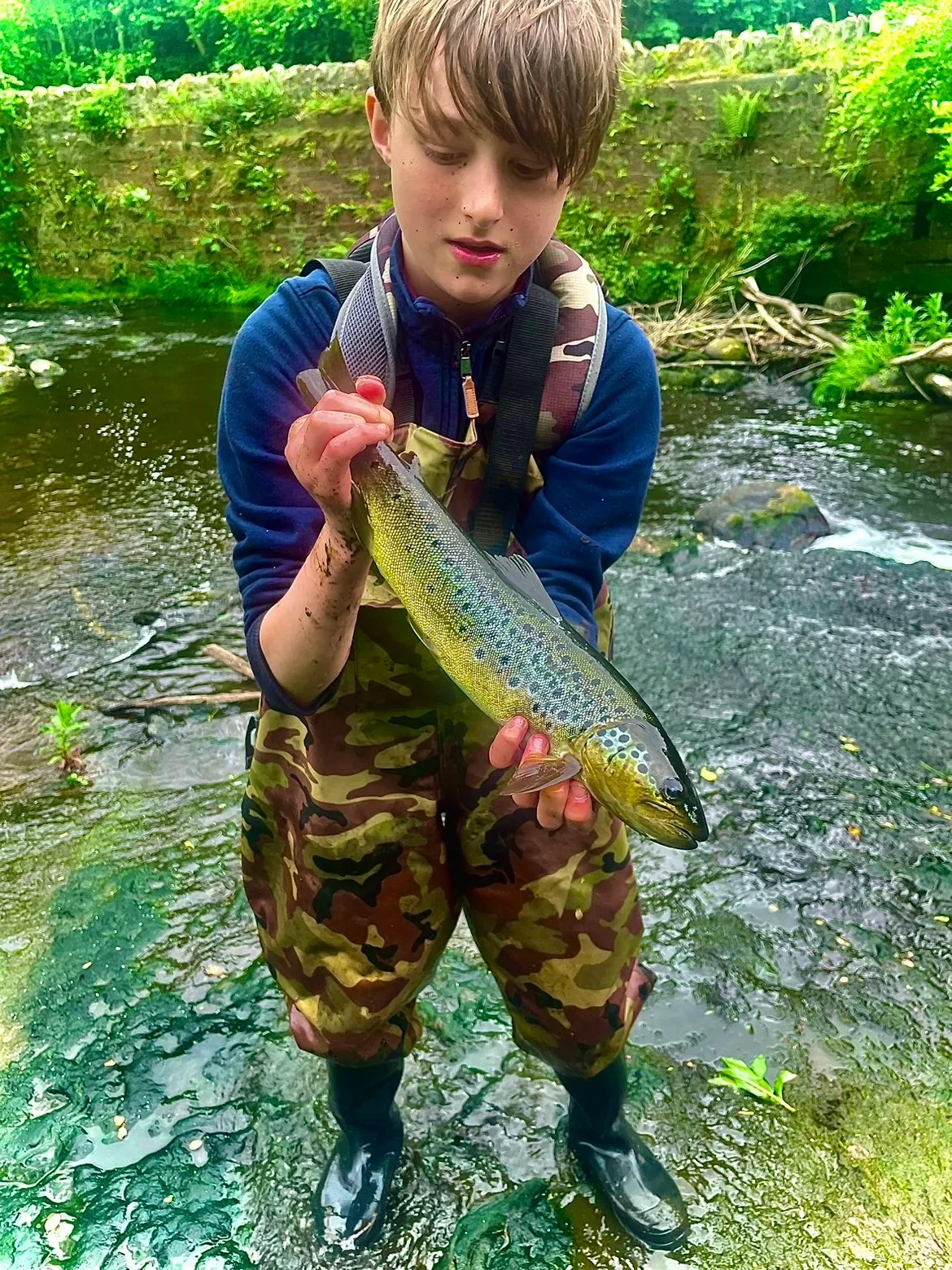 Alexander Borek - Brown Trout