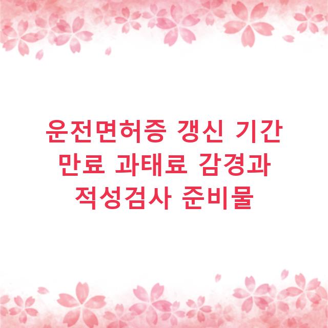 운전면허증 갱신 기간 만료 과태료 감경과 적성검사 준비물