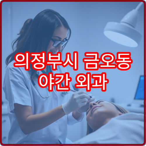 의정부시 금오동 야간 외과 멍 타박상 진료 가능한 병원 정리