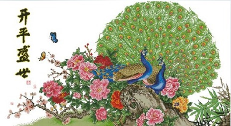 CMP 114 Peacock